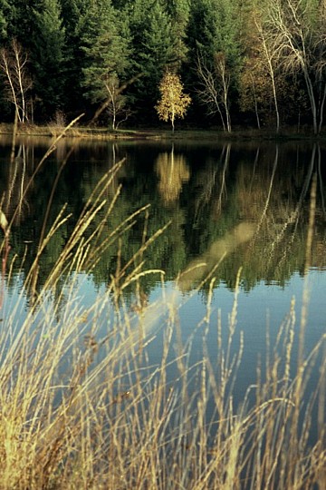 Le Plan d'Eau des Sagnes