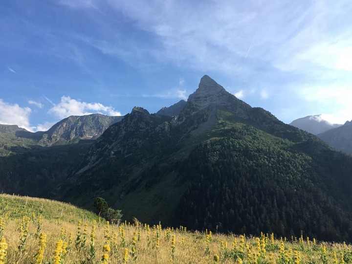 25 - LE TOUR DU PLATEAU DE CAMPSAURE