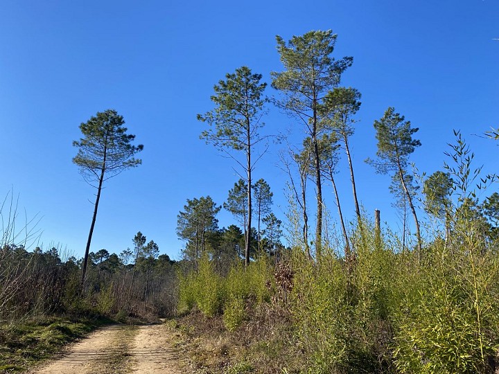 Circuit des Trois Communes