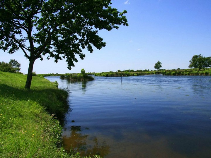 A Audenge, sur le Domaine de Graveyron entre t ...