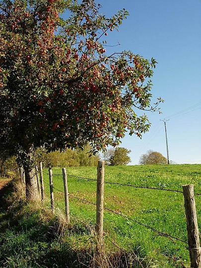 Le circuit du Roc de France