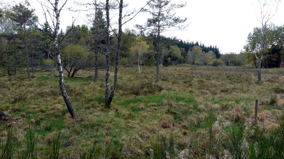 Le toit du Limousin (variante de 17km)