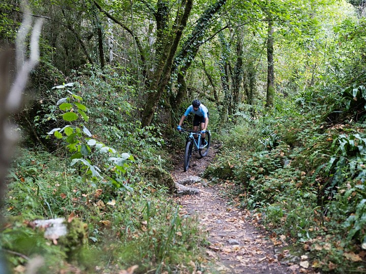 PC 17 - LES FRONTIGNES