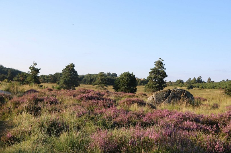 Sentier d'interprétation des Bruyères - 8 km
