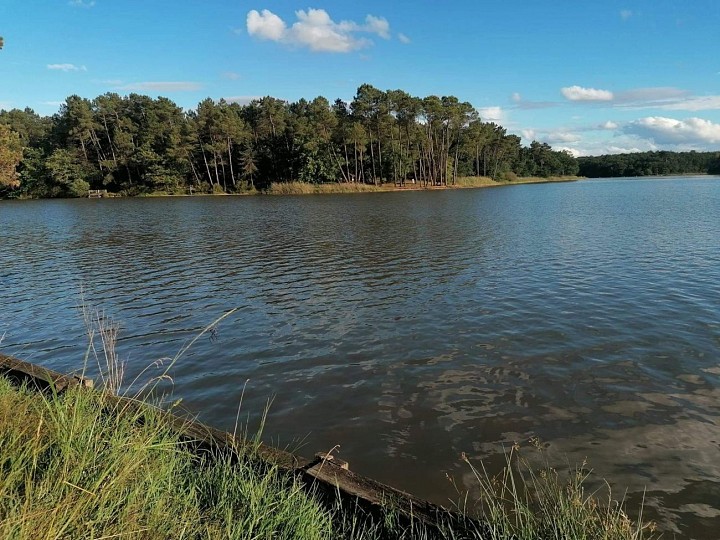 Boucle de La Jemaye - Le Grand Étang