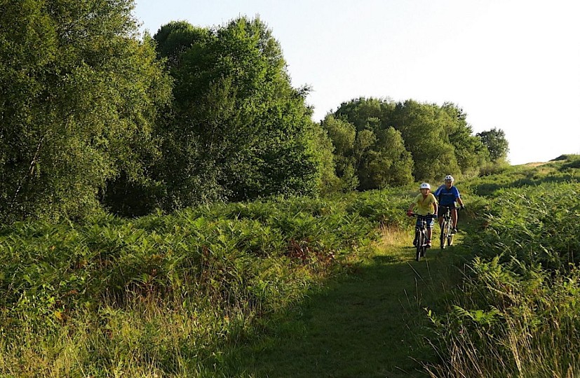 VTT N°73 - Bois de Haut