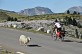 Le col de la Pierre-Saint-Marti ... - Crédit: @Cirkwi - AaDT Béarn Pyrénées Pays basque