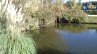 Balade à roulettes : Bruges, étang et bassins