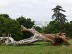 Balade à roulettes : Le parc Palmer