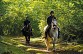 Larreule : les Bénédictins à cheval - Crédit: @Cirkwi - TOURISME ET LOISIRS - COTEAUX BEARN MADIRAN