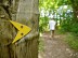 Parcours Tulle Nature : N°2 Forêt du souvenir