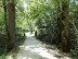 Randonnée pédestre : Le Chemin des Fontaines 1 ...