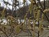 Balade à roulettes : Domaine de ... - Crédit: @Cirkwi - FFRandonnée Gironde