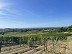 Balade du moulin - Crédit: @Cirkwi - OT Castillon-Pujols