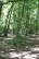 Balade à roulettes : Bois de Laburthe