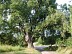 Pont-du-Casse / Darel, une boucle nature