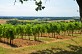 Saint-Jean-de-Duras, balade au coeur des vigno ...