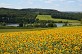 Sainte-Gemme, randonnée dans les collines Gasconne