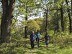 Forêt de Lahitau - Crédit: @Cirkwi - SYNDICAT TOURISME DU NORD BEARN MADIRAN