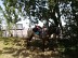 Boucle à cheval Saint-Laurent Listrac