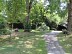 Balade à roulettes : Parc Sourreil à Villenave ...