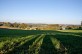 La randonnée de la forêt