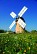 Hike of the windmill - Crédit: @Cirkwi - Bourg Cubzaguais Tourisme