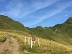 25 - LE TOUR DU PLATEAU DE CAMPSAURE