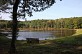 VTT - Gravel - La Forêt de Mirambel - 39 km -  ...
