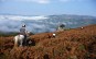 Le sentier des contrebandiers - Du Col des Vea ...