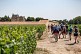 "La Randonnée des Châteaux" à Pauillac
