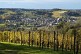 Vignobles de Cuqueron - Crédit: @Cirkwi - Office de tourisme Cœur de Béarn