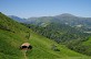Adarre - Trail - Crédit: @Cirkwi - Office de Tourisme Pays Basque