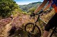Moutain Bike Track n°19 - Grand tour d'Anglars