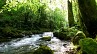 Randonnée pédestre : Le ruisseau de Candesoubre