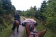 Tour du Tarn à cheval : Damiatte / Lisle sur Tarn