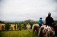 Tour du Tarn à cheval : Roussayrolles / Les Ca ...