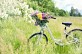 Vélo Découverte "Pays de Saint-Aulaye", sur la ...