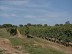 Sentier des Châtaigniers - Lembras