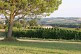 PR14 - Ténarèze : De fermes en  ... - Crédit: Collection Tourisme Gers/Domaine de Chiroulet