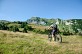 La Grande Traversée VTT des Pyr ... - Crédit: @Cirkwi - Office de Tourisme Pays Basque