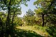 Sentier panorama sur la Dronne