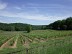 Les vignobles à vélo - Excursion dans l’Entre- ...