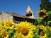 Circuit Cyclo n°20 - Ténarèze : De Cep en Pierre