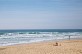 Plages océanes et forêt - Lège Petit Crohot