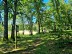 Parcours PAPSE Masseret-Lamongerie - Crédit: ©LL OT Terres de Corrèze (39)