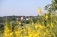 Boucle vélo route Brossac Sud - ... - Crédit: Office de tourisme du Sud Charente