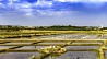 Circuit VTT N°3 - Étaules - Crédit: @Cirkwi - Comité Régional de Tourisme de Nouvelle-Aquitaine
