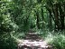 Circuit randonnée - Balade forestière à Benon