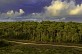 Sentier des Carreaux - Forêt de la Coubre